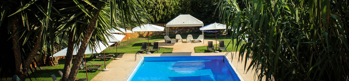 Vassaliki Naturist Resort pool palm wide